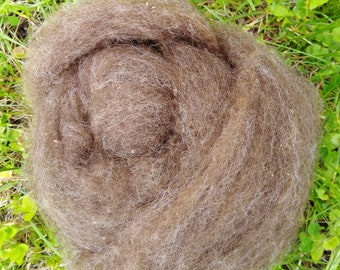 Shetland Roving ~brown