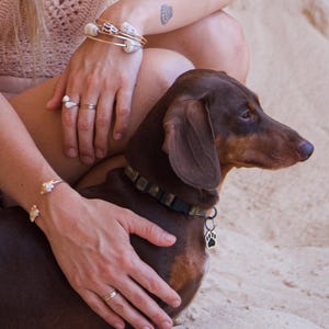 Può includere: Un bassotto marrone che indossa un collare nero con una medaglietta argentata a forma di zampa. Il cane è accompagnato da gioielli, tra cui bracciali rigidi dorati decorati con piccole conchiglie bianche, un anello argentato e sottili anelli.