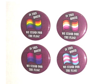 Pin Buttons / In This House We Stand For The Flag / Queer LGBT Pride Pins