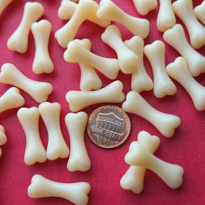 May include: A collection of small, off-white bone-shaped objects scattered on a red surface. A copper one-cent coin is included for size comparison. The bones have a smooth, rounded appearance.
