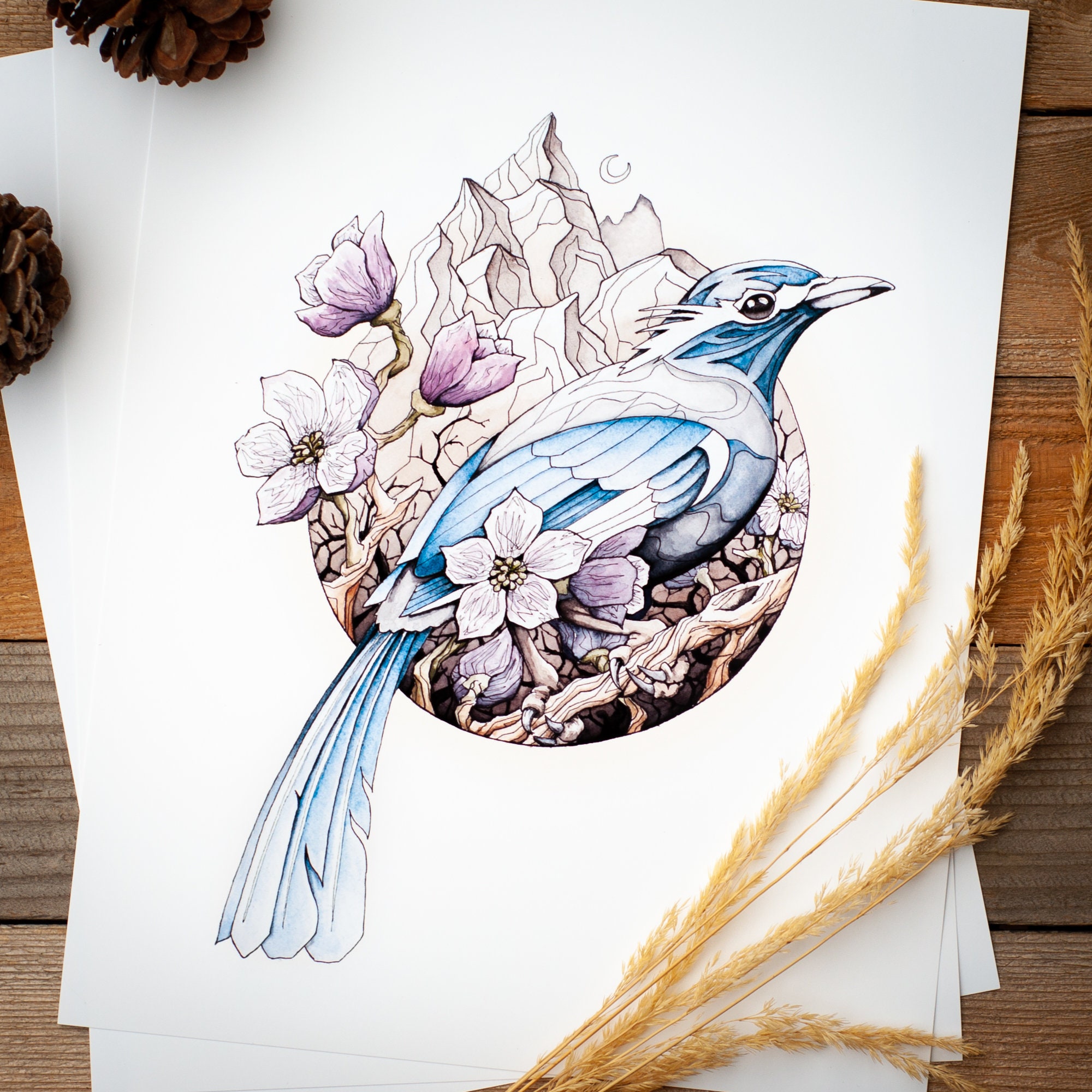 Scrub Jay / Print Etsy