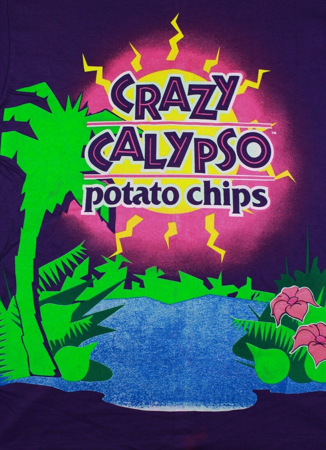Vintage 90's Crazy Calypso Potato Chips Big Logo T-Shirt | Etsy