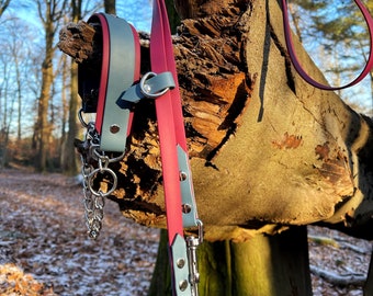 Collar y correa de biotano
