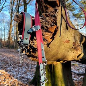 Biothane collar and leash