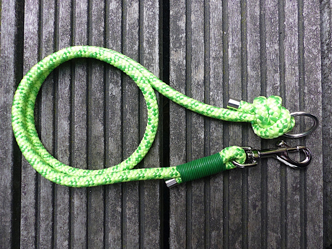 1 M Dog Leash Guide for Dog Sport Without Hand Strap With Etsy Denmark