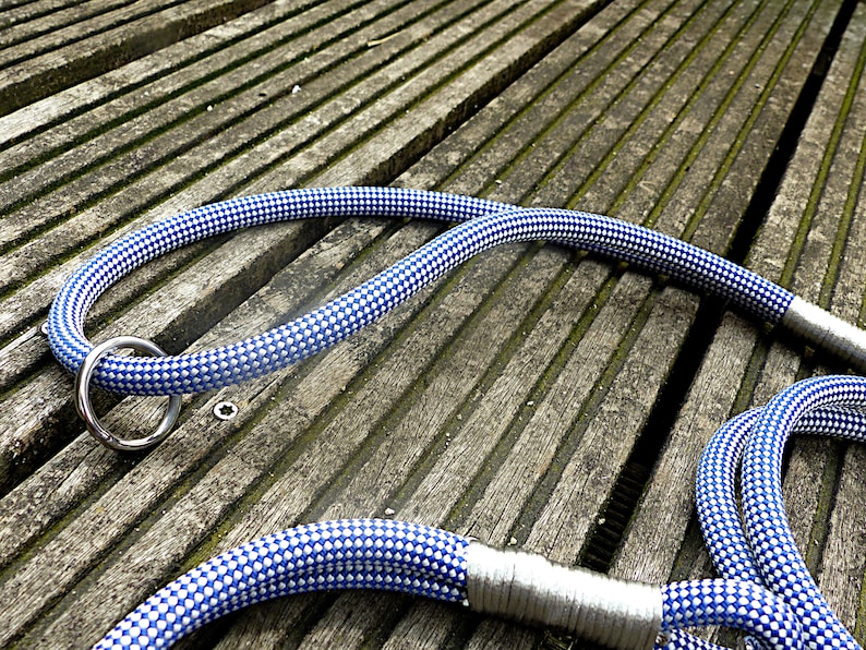 Premium dog leash leash made of climbing rope with rigging in silver