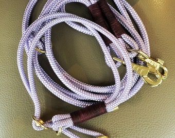 Set tau leash and matching choker with leather pairing dog