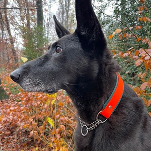 Biothane Martingale halsband met stopketting