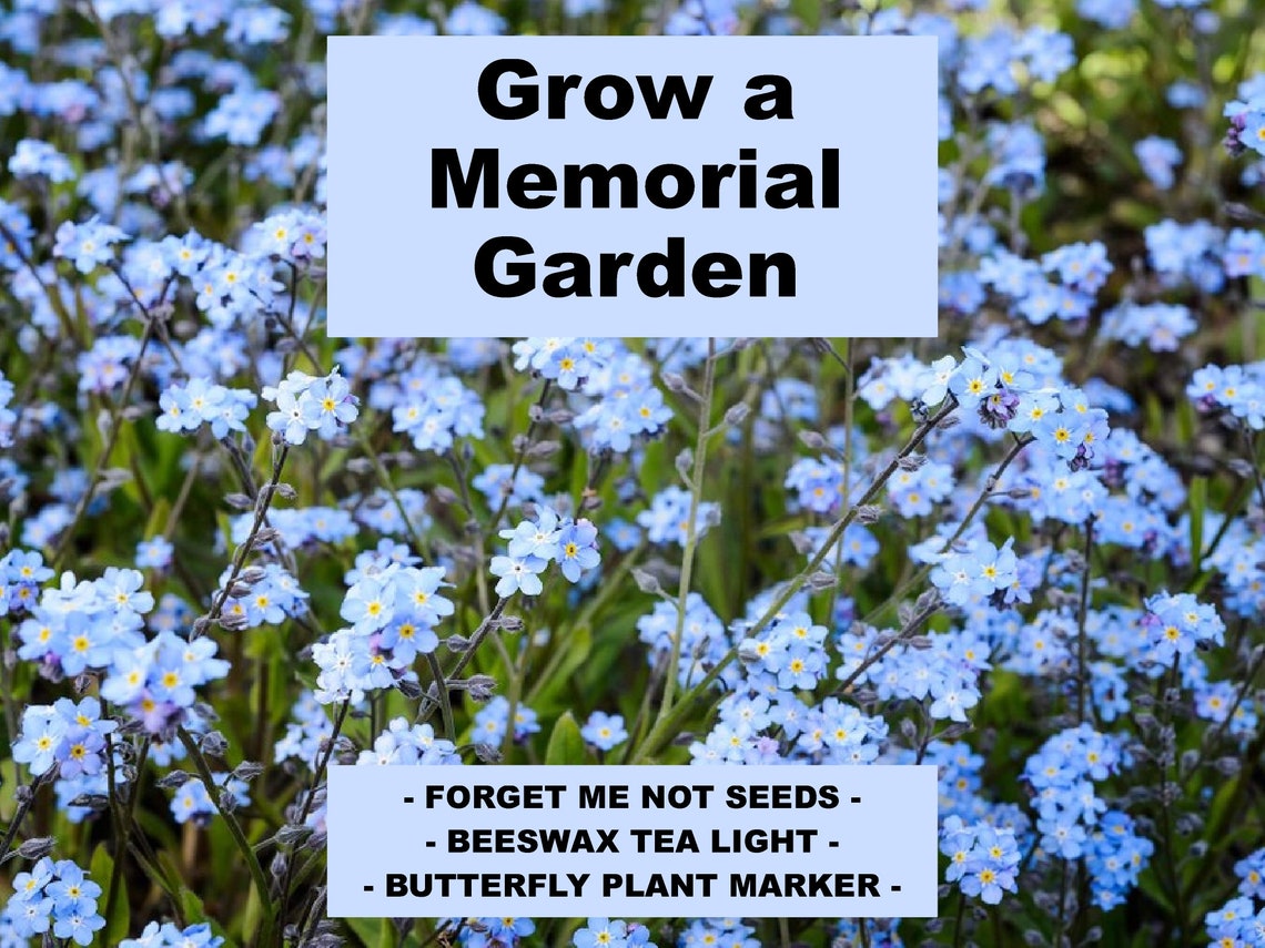 Grow a Memorial Garden from Seed with a Etsy