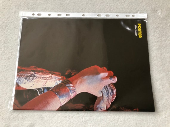 Led Zeppelin 1976 Robert Plant Jimmy Page Poster Swedish Poster