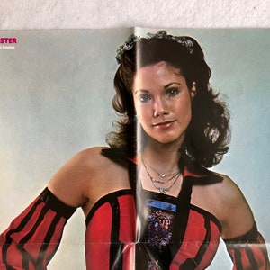 Barbi Benton Poster 1977 Swedish Poster Magazine 1970s Playboy Playmate
