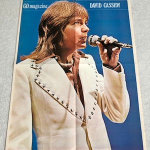 David Cassidy Poster 1974 Swedish Poster Magazine GO 1970s The Partridge Family Vintage Rare