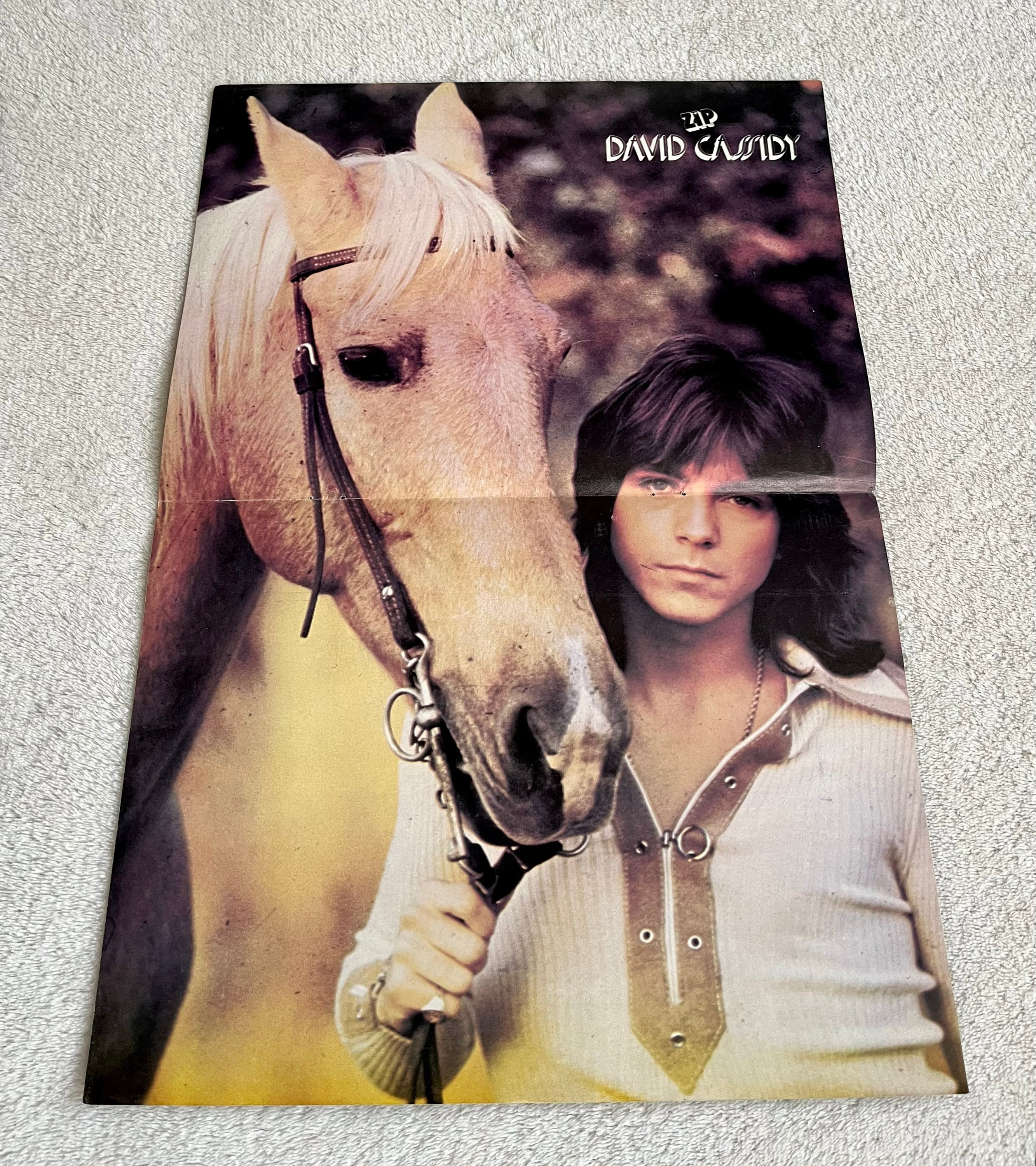 David Cassidy Poster 1973 Swedish Poster Magazine 1970s Vintage