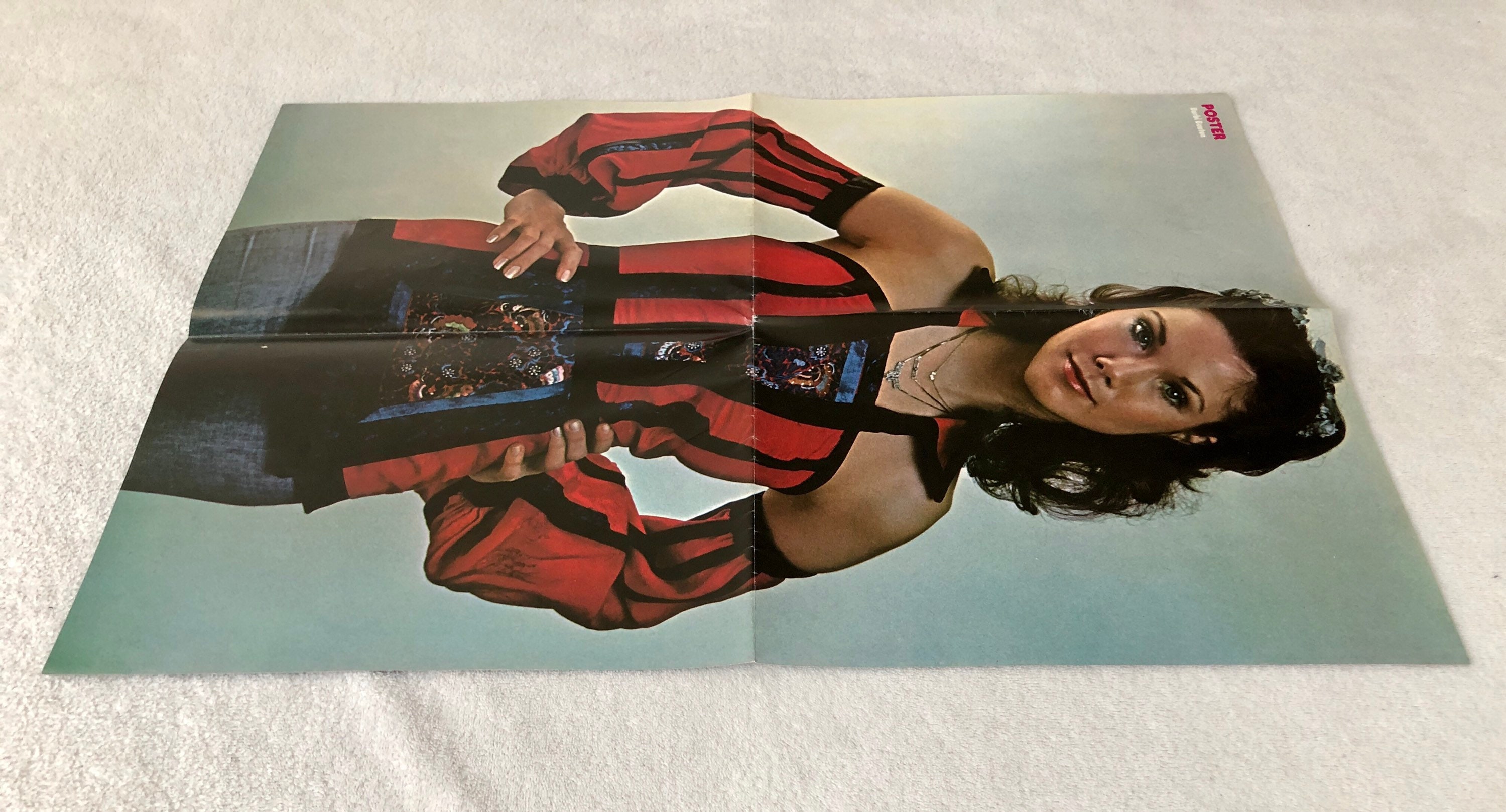 Barbi Benton Poster 1977 Swedish Poster Magazine 1970s Playboy - Etsy