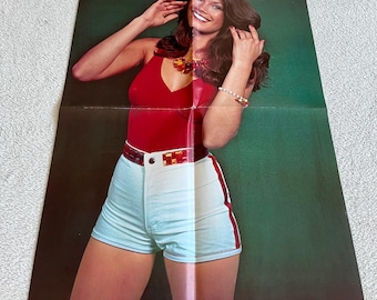 Barbi Benton Poster 1978 Poster svedese Rivista musicale 1970 Playboy Playmate Vintage Raro