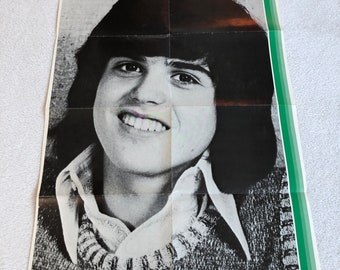 Donny Osmond Poster 1973 Swedish Poster Music Magazine ZIP 1970s The Osmonds Vintage Rare