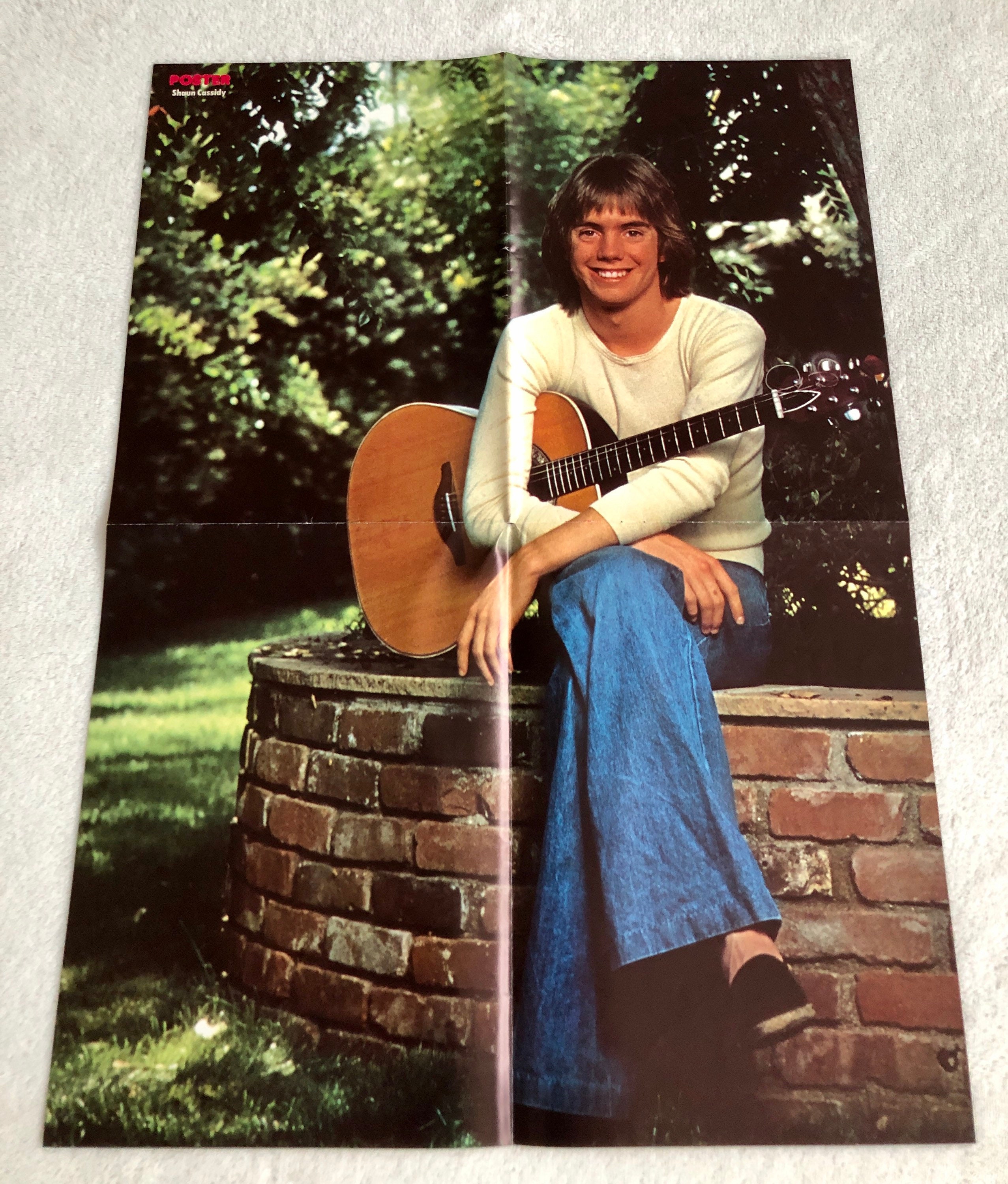 shaunページ Shaun Cassidy, Full Page Vintage Clipping | eBay