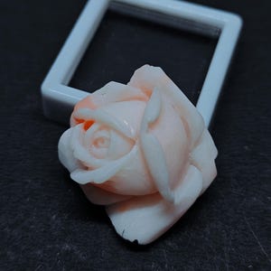Op de afbeelding: Een uitgesneden roosvormig ornament met een gladde, licht perzikkleurige en witte gradi&euml;ntafwerking. Het bloemstuk toont gelaagde, delicate bloemblaadjes met een gepolijst oppervlak, geplaatst voor een klein, vierkant wit frame.