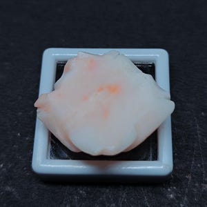 Op de afbeelding: Een gepolijst, onregelmatig stuk koraal edelsteen in bleekroze en wit met subtiele oranje insluitingen, stevig gemonteerd in een vierkante witte displaydoos met een zwarte binnenkant, met een gladde, organische en doorschijnende textuur.