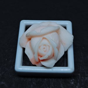 Op de afbeelding: Een gesneden roze en wit roosvormig edelsteenornament in een vierkant wit displayframe. Het bloemmotief heeft gelaagde bloemblaadjes met een gladde textuur en subtiele kleurverlopen die overgaan van wit naar een lichte koraalroze tint.