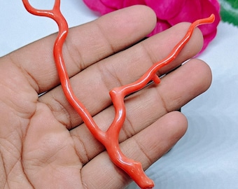 Red Coral Branch Polished Mediterranean Coral Rough Stick Loose Big Specimen For Collectors.