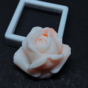 Op de afbeelding: Een uitgesneden roosornament met een kleurverloop van lichtroze en wit met een klein feloranje accent nabij het midden. Het bloemstuk is geplaatst voor een klein, vierkant, wit plastic frame met een transparant venster in het midden.