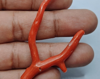 Polierter italienischer roter Korallenzweig: Edelsteinschmuckherstellung (15 KT, 55 MM)