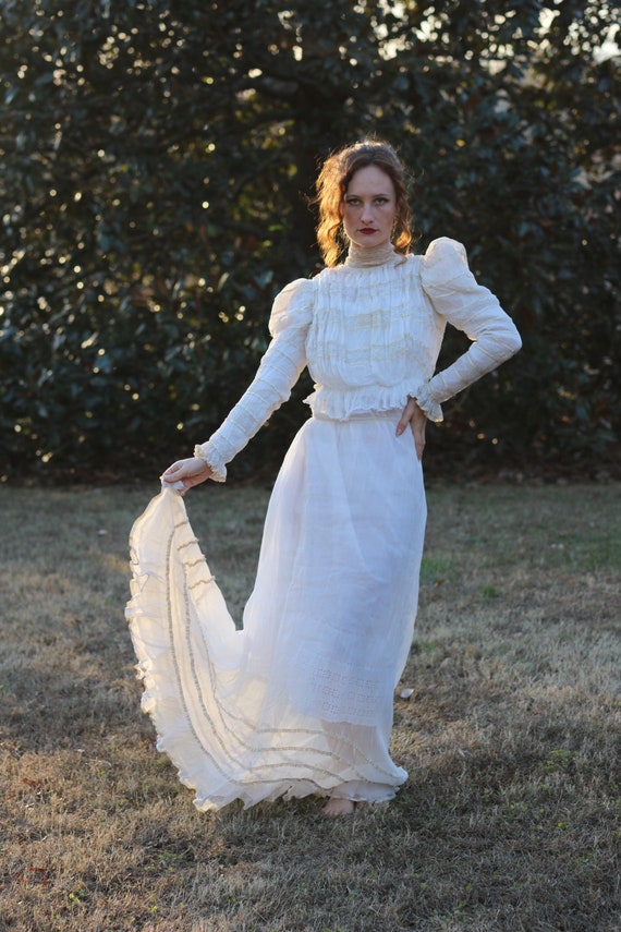 antique edwardian gown / bodice and skirt