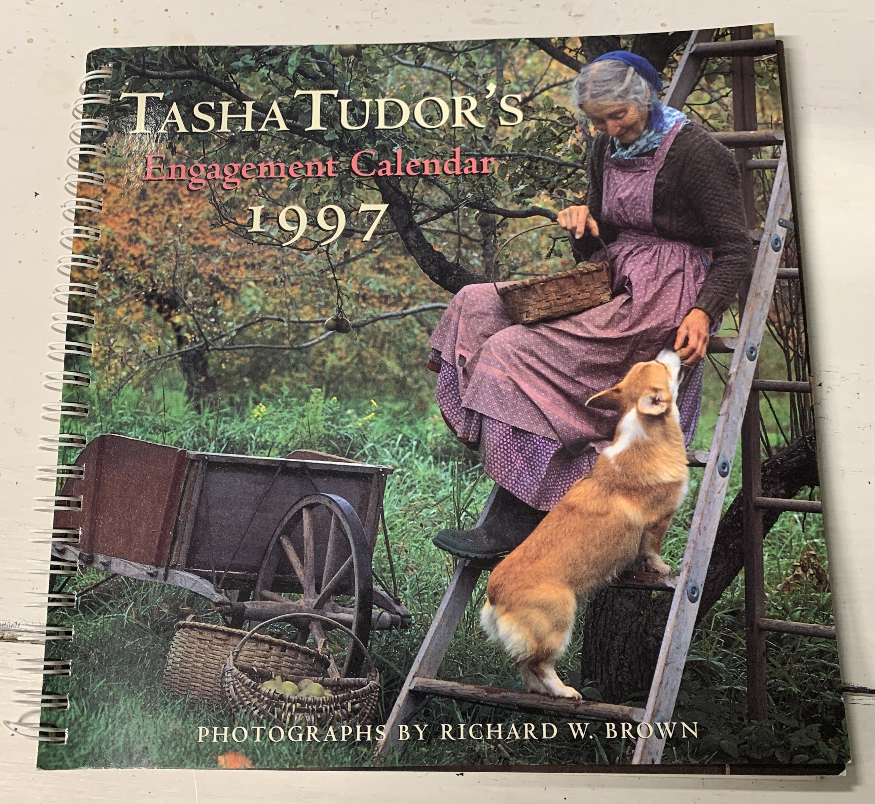 Tasha Tudor and Family - Jefferson Corgi Puppy