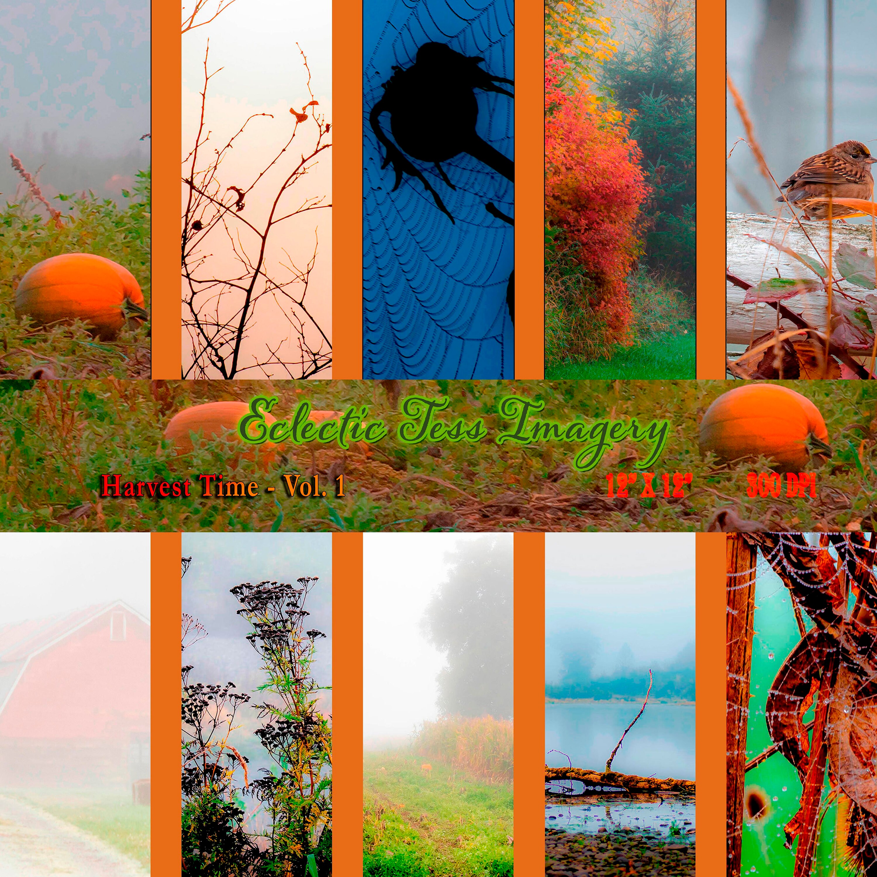 Harvest time essay image