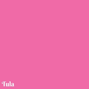 Puede incluir: Un fondo rosa sólido con la palabra "Tula" en una fuente cursiva estilizada en la esquina inferior izquierda. El color rosa es vibrante y llena la mayor parte de la imagen.
