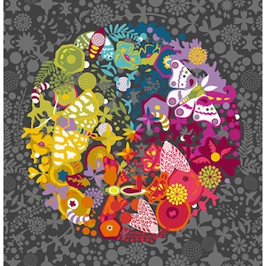 Color Wheel Art Theory 108&quot; Wide Back in Night - Priced/Sold by the Yard