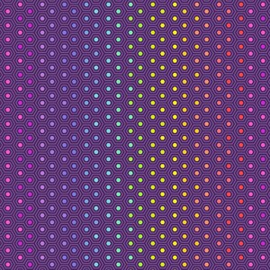 Tula Pink True Colors Hexy Rainbow in Starling - Priced/Sold by the Half-Yard