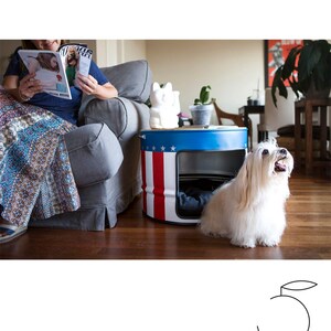 Puede incluir: Una cama para perros azul y blanca hecha de un tambor de metal reutilizado, con rayas rojas y estrellas blancas. Un perro blanco y esponjoso est&aacute; sentado al lado de la cama. Una persona lee una revista en el fondo.