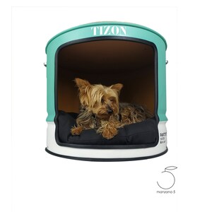 Puede incluir: Un perro peque&ntilde;o descansa dentro de una cama para perros verde menta y blanca. La cama tiene un coj&iacute;n negro y la palabra "Tizon" est&aacute; impresa en la parte superior. La cama est&aacute; dise&ntilde;ada con una parte superior redondeada y una abertura rectangular.