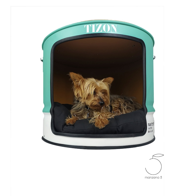 Puede incluir: Un perro peque&ntilde;o descansa dentro de una cama para perros verde menta y blanca. La cama tiene un coj&iacute;n negro y la palabra "Tizon" est&aacute; impresa en la parte superior. La cama est&aacute; dise&ntilde;ada con una parte superior redondeada y una abertura rectangular.