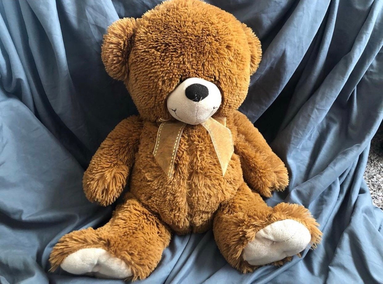 heatable teddy