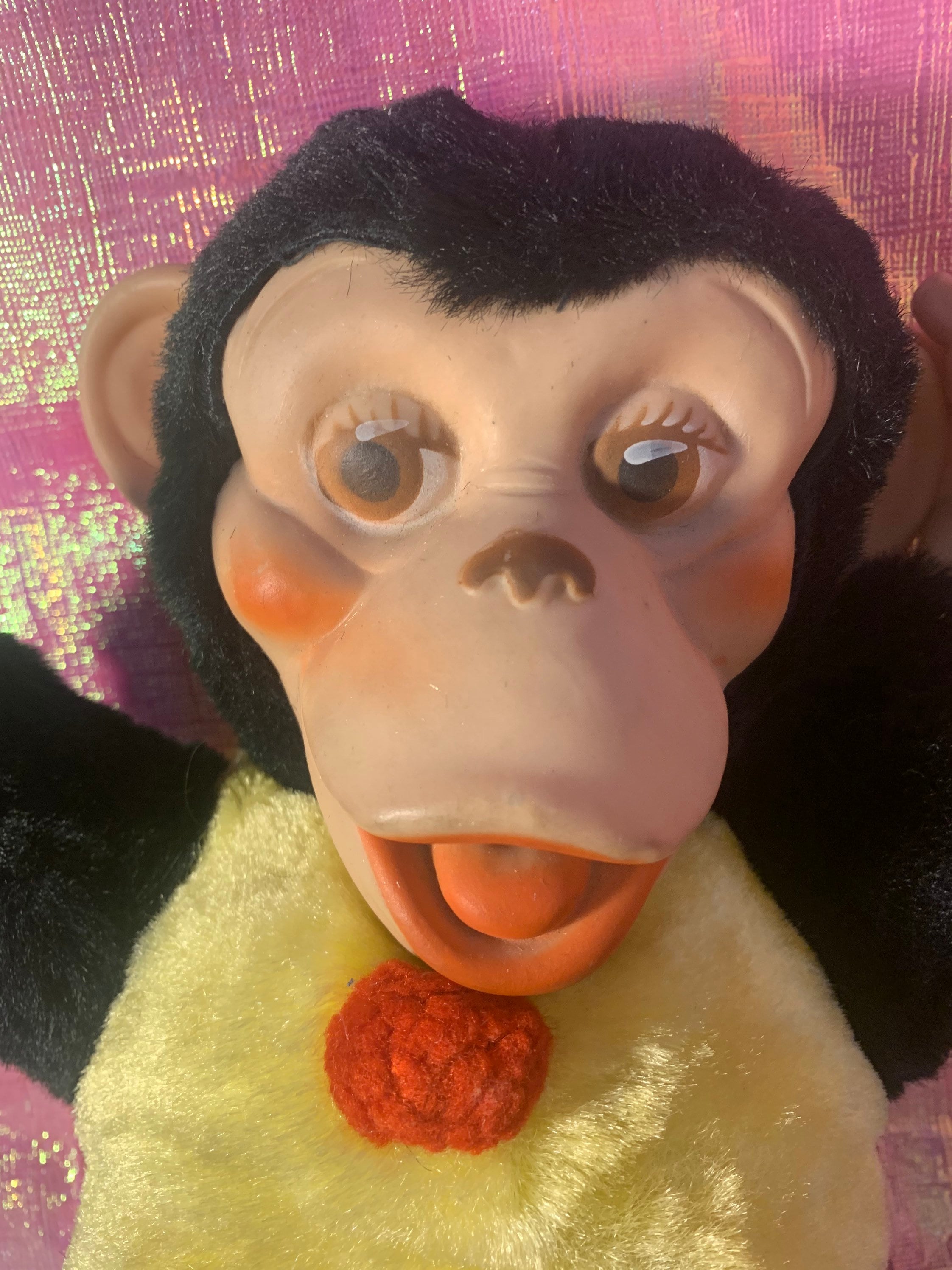 Flat Face Monkey: The Internet'S Newest Obsession? - tswausc