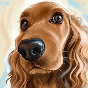 May include: A close-up portrait of a brown and white dog with long, wavy fur. The dog has brown eyes and a black nose. The background is a light blue and white abstract design.