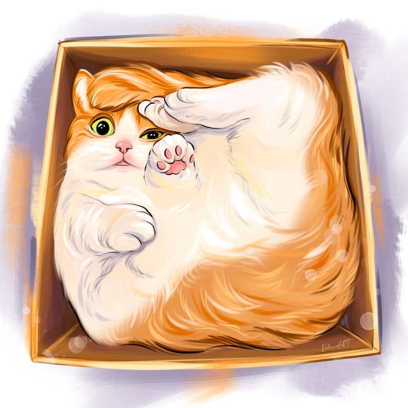 May include: A fluffy orange and white cat curled up inside a cardboard box. The cat's paws are visible, and it has a playful expression on its face.