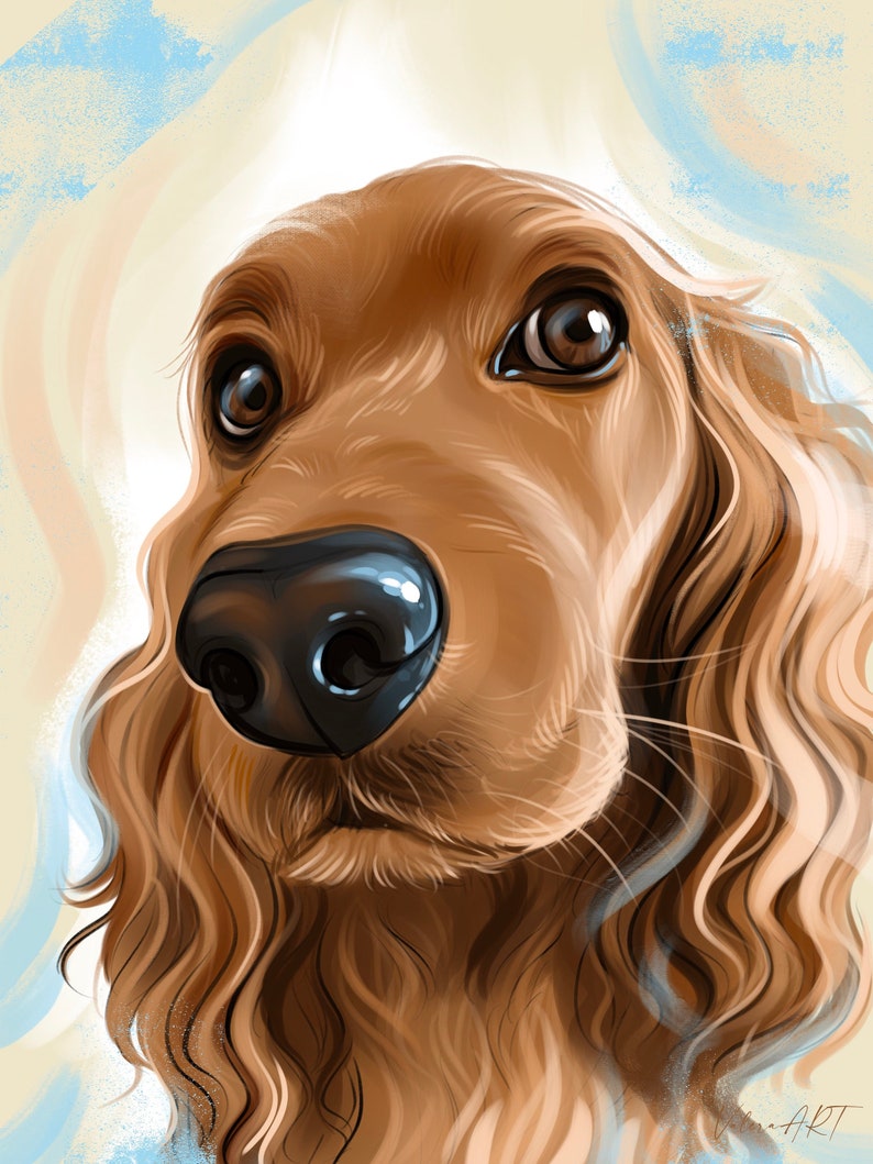 May include: A close-up portrait of a brown and white dog with long, wavy fur. The dog has brown eyes and a black nose. The background is a light blue and white abstract design.