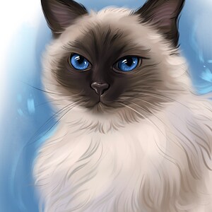 May include: A white and brown cat with blue eyes. The cat has a long, fluffy coat and is looking directly at the camera.