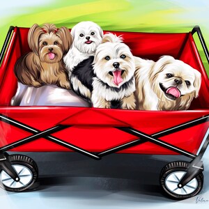 May include: Four small dogs, a brown and white Yorkshire Terrier, a white Maltese, a white and brown Maltese, and a white Pekingese, are riding in a red wagon. The wagon has black wheels and a black metal frame.