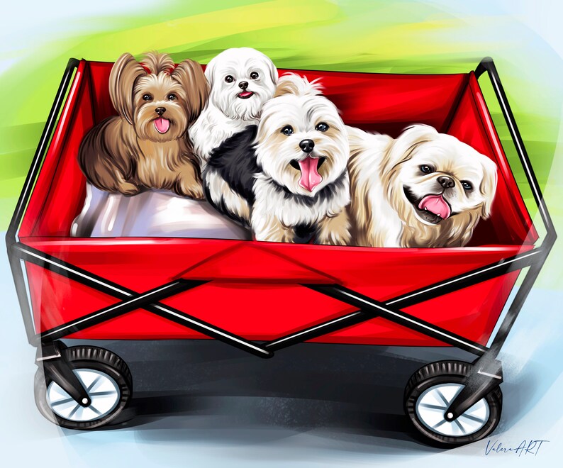 May include: Four small dogs, a brown and white Yorkshire Terrier, a white Maltese, a white and brown Maltese, and a white Pekingese, are riding in a red wagon. The wagon has black wheels and a black metal frame.