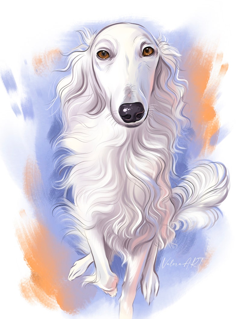 May include: A white dog with long, flowing hair, standing on a blue and orange background. The dog has brown eyes and a black nose. The dog is looking directly at the viewer.