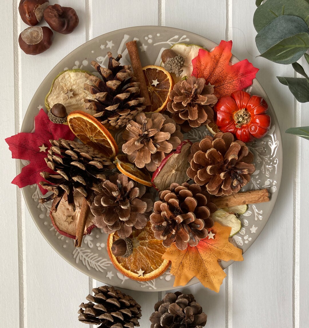 AUTUMN ACCESSORY PACK Autumnal Home Decor Decorative Leaves Pine Cones