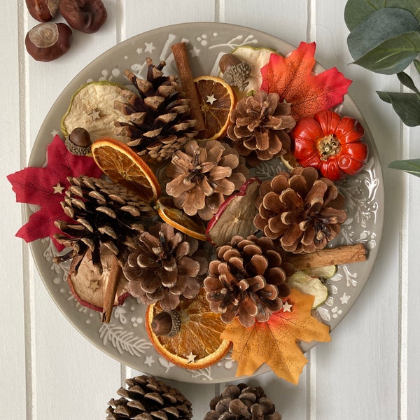AUTUMN ACCESSORY PACK Autumnal Home Decor Decorative Leaves Pine Cones Acorns Cinnamon Pumpkins for Fall Home Decor