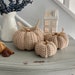 see more listings in the Pumpkins & Autumn Decor section