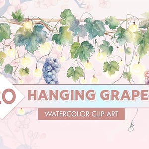 Puede incluir: Clip art de acuarela con uvas colgantes, hojas verdes y luces brillantes. La imagen incluye el texto "20 HANGING GRAPES WATERCOLOR CLIP ART" sobre un fondo rosa con detalles florales.