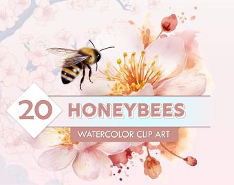 20 Honey Bees -- Spring Clip Art / Honeycomb Pattern / Digital Paper / Transparent PNG Images / Junk Journal / Vanilla / Floral